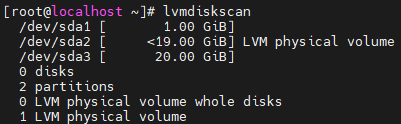 lvmdiskscan